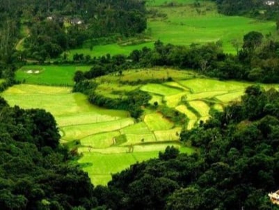 Coorg