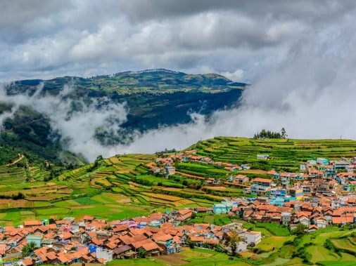 Ooty