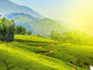 Munnar